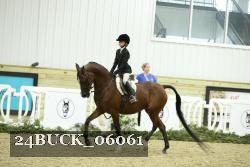 24BUCK_06061 thumbnail