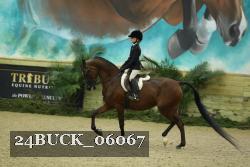 24BUCK_06067 thumbnail