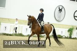 24BUCK_06072 thumbnail