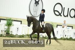 24BUCK_06075 thumbnail