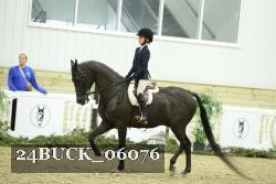 24BUCK_06076 thumbnail