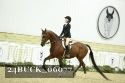24BUCK_06077 thumbnail