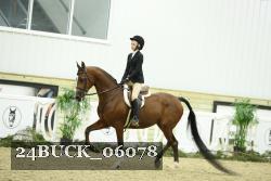 24BUCK_06078 thumbnail