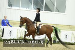24BUCK_06079 thumbnail