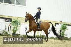 24BUCK_06088 thumbnail