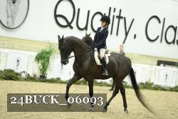 24BUCK_06093 thumbnail