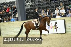 24BUCK_06106 thumbnail