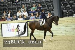 24BUCK_06111 thumbnail