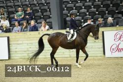 24BUCK_06112 thumbnail