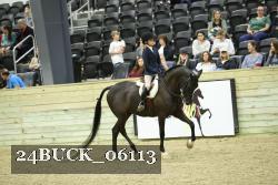 24BUCK_06113 thumbnail