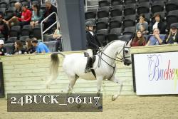 24BUCK_06117 thumbnail