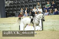 24BUCK_06118 thumbnail