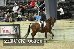 24BUCK_06120 thumbnail