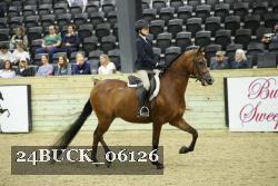 24BUCK_06126 thumbnail