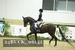 24BUCK_06141 thumbnail