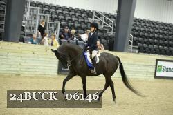 24BUCK_06146 thumbnail