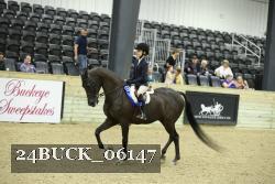 24BUCK_06147 thumbnail