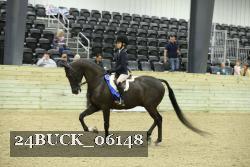 24BUCK_06148 thumbnail