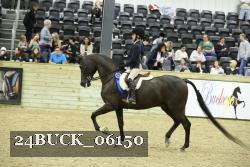 24BUCK_06150 thumbnail