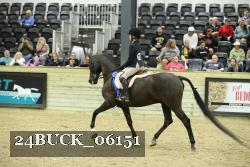 24BUCK_06151 thumbnail