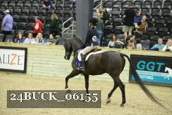 24BUCK_06155 thumbnail