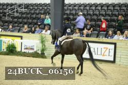 24BUCK_06156 thumbnail