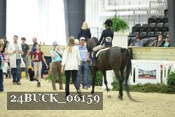 24BUCK_06159 thumbnail