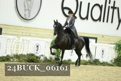 24BUCK_06161 thumbnail