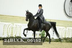 24BUCK_06162 thumbnail
