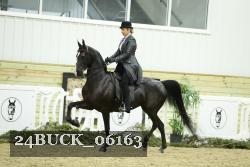 24BUCK_06163 thumbnail