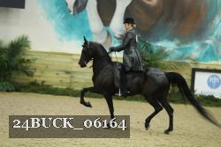 24BUCK_06164 thumbnail