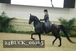 24BUCK_06165 thumbnail