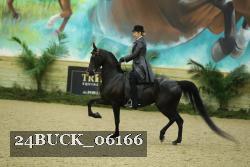 24BUCK_06166 thumbnail