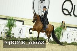 24BUCK_06168 thumbnail