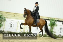 24BUCK_06170 thumbnail