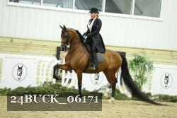 24BUCK_06171 thumbnail