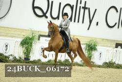 24BUCK_06172 thumbnail