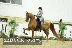 24BUCK_06173 thumbnail