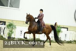 24BUCK_06174 thumbnail