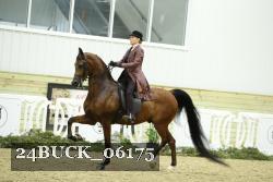 24BUCK_06175 thumbnail