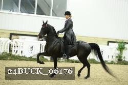 24BUCK_06176 thumbnail