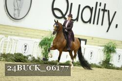 24BUCK_06177 thumbnail