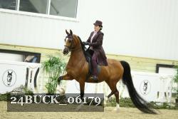 24BUCK_06179 thumbnail