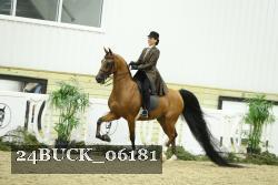 24BUCK_06181 thumbnail