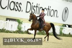 24BUCK_06187 thumbnail