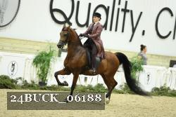 24BUCK_06188 thumbnail