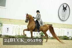 24BUCK_06189 thumbnail