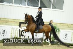 24BUCK_06195 thumbnail