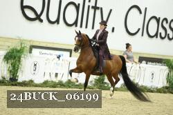 24BUCK_06199 thumbnail