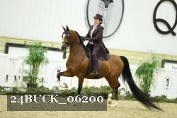 24BUCK_06200 thumbnail